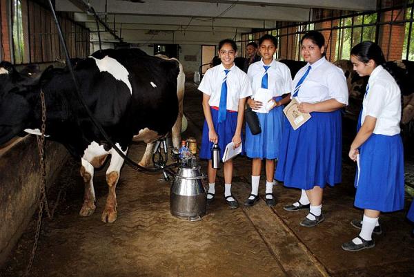 Student visit at Dairy Farm